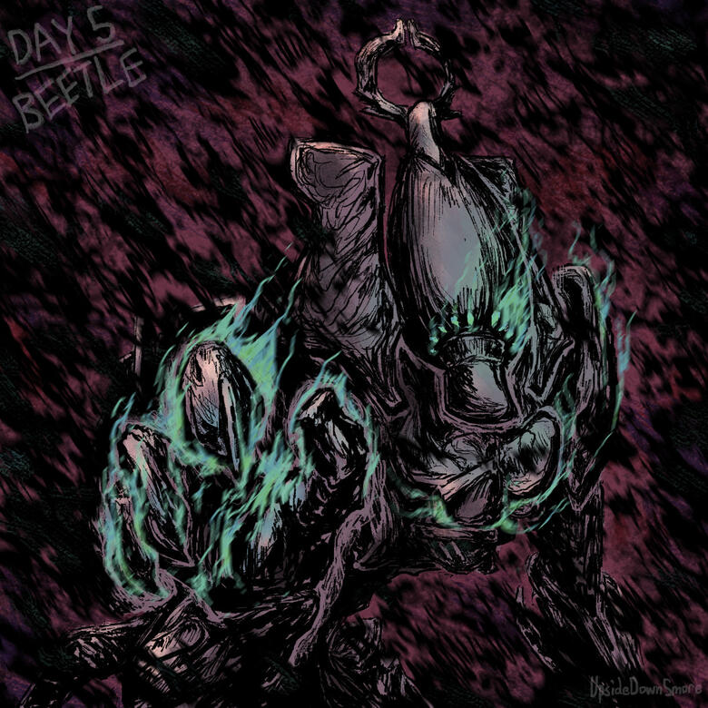Day 5: Beetle