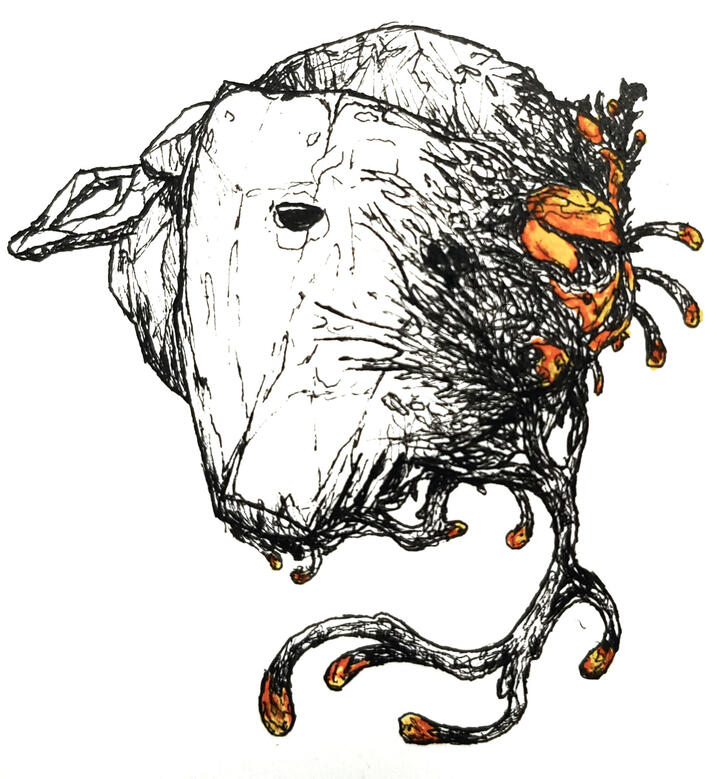 Day 5: Plague